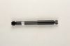 BILSTEIN 19-223025 Shock Absorber